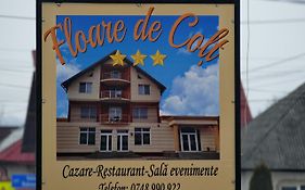 Floare de Colt